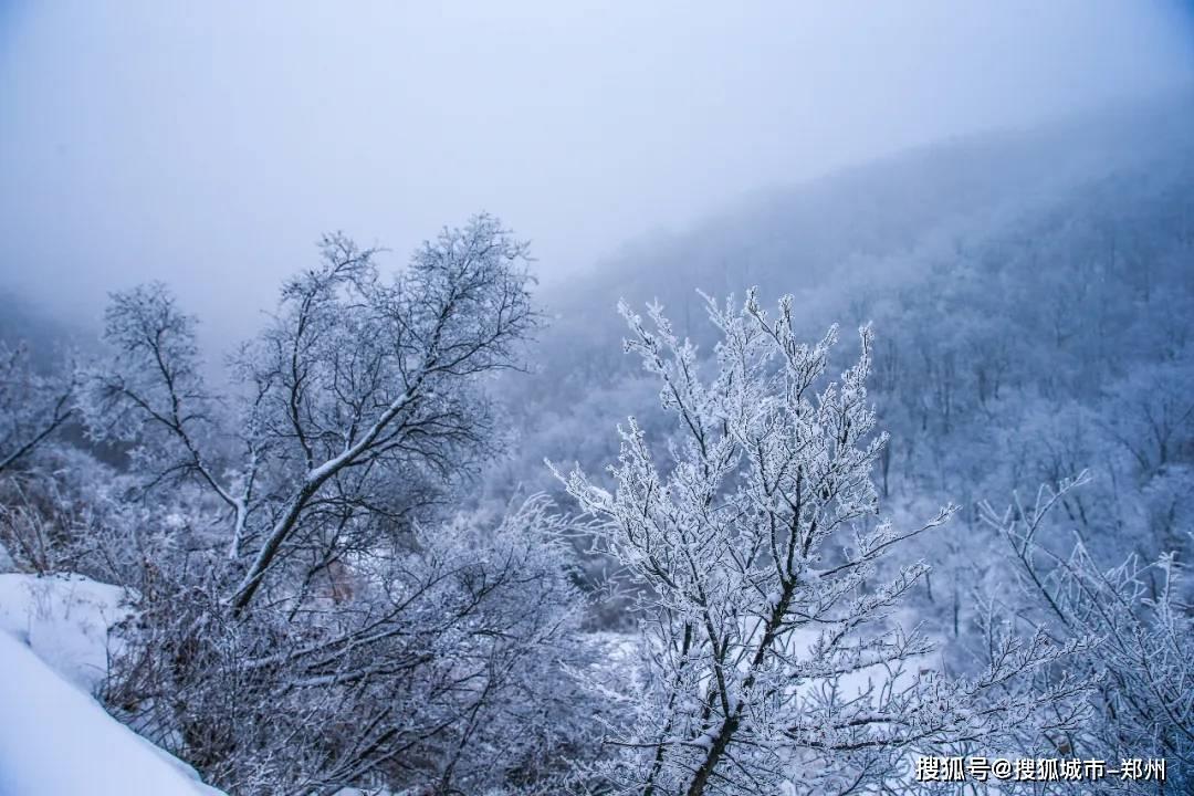 智力水滴