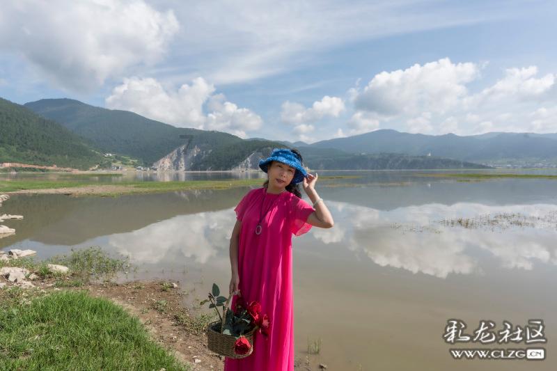 探寻知识星球平台去新西兰打工可靠吗?的魅力