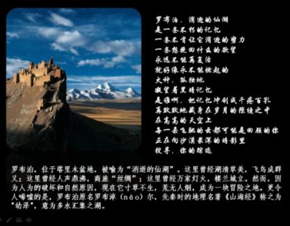 燃烧吧大脑装瓶子游戏