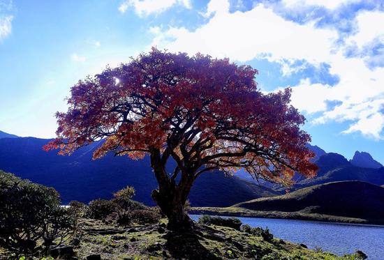 【新春走基层】兰州榆中:过大年看大戏 2024年迎新春文化活动拉开帷幕