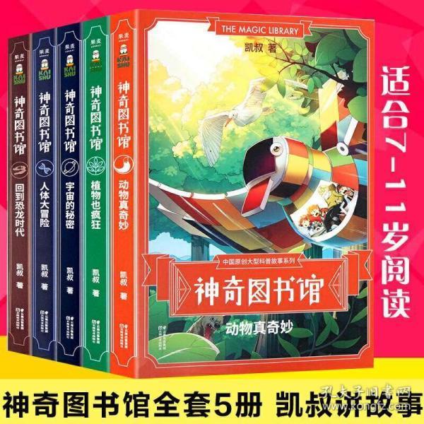 缤越和缤智怎么选？游戏画面