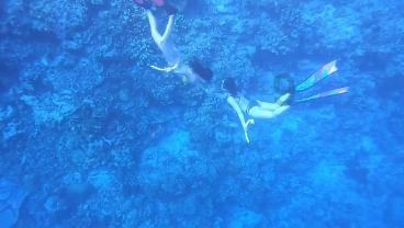 降脂治疗时，过低的胆固醇，会不会增加出血、癌症风险？