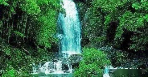 邻居的需求