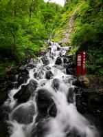 模拟农场17