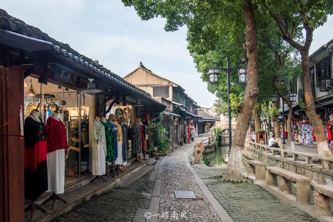 杨紫是招黑体质吗？为什么她经常被人黑？