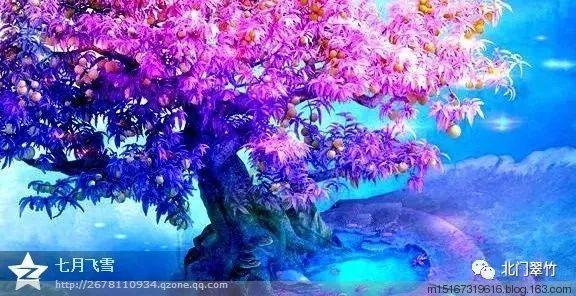 影视工厂
